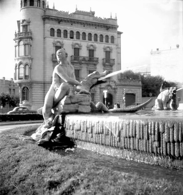 Home americà i cocodril